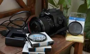 stock