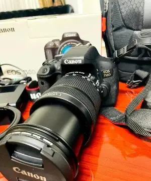 stock