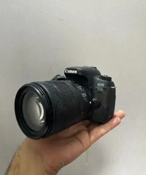stock