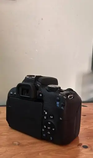 stock