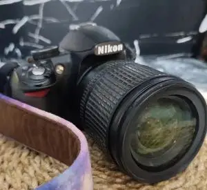 stock