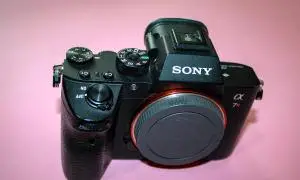 stock