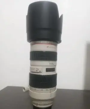 stock