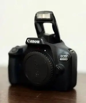 stock
