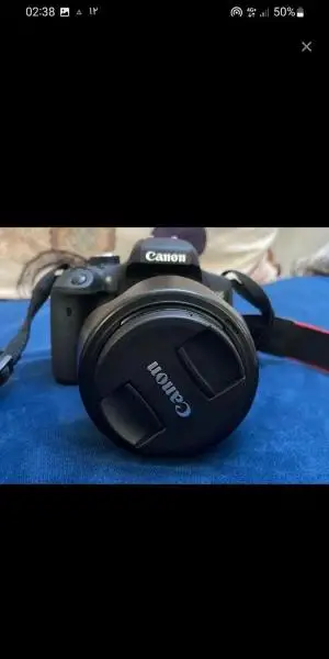stock