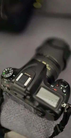 stock
