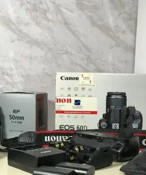 stock