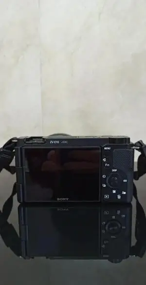 stock