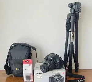 stock