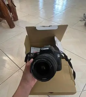 stock