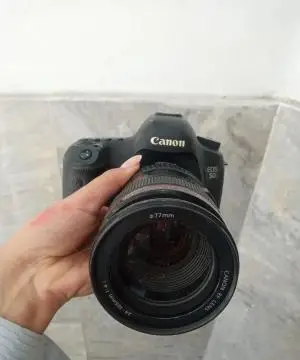 stock