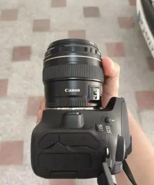 stock