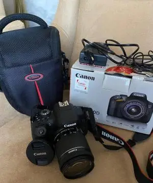 stock