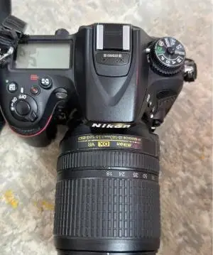 stock