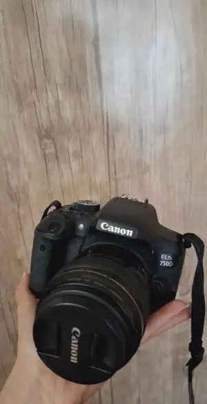 stock