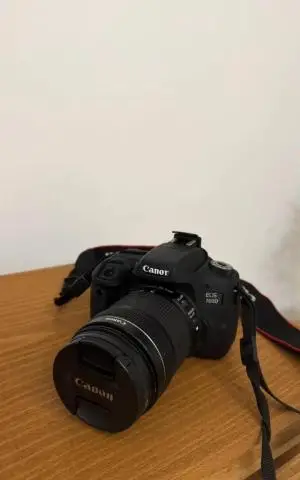 stock