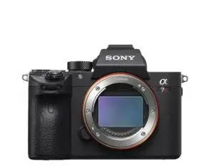 stock