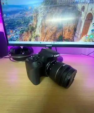 stock