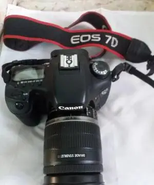 stock