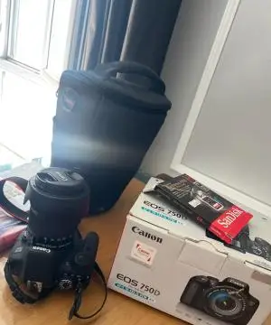 stock