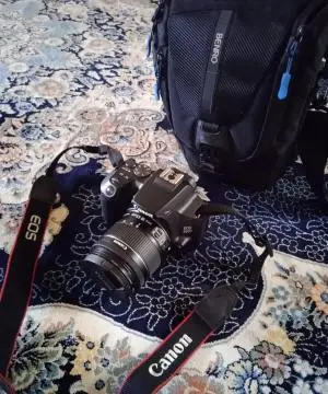 stock