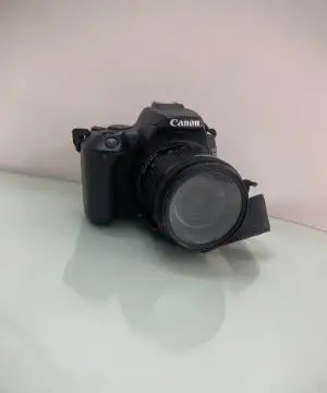 stock