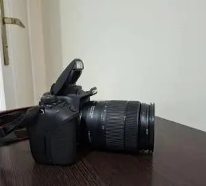 stock