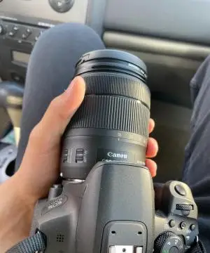 stock