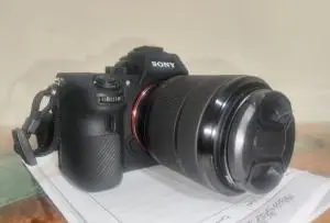 stock