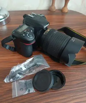 stock