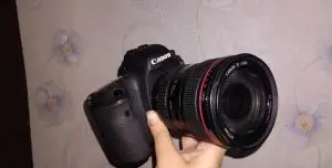 stock