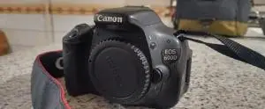 stock