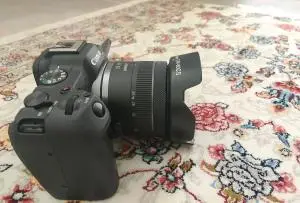 stock