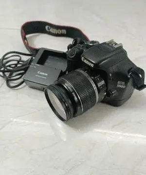 stock
