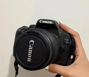 stock