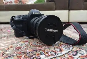 stock