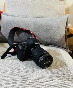 stock