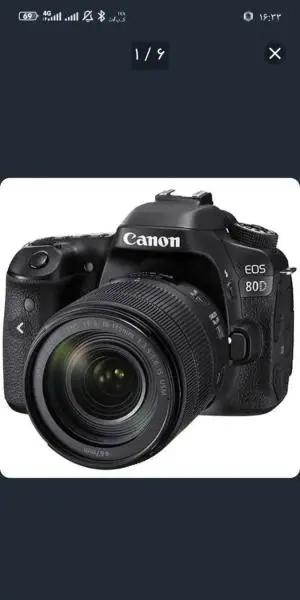 stock