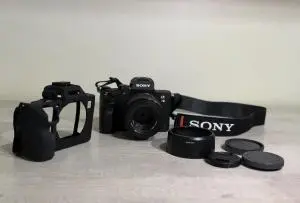 stock