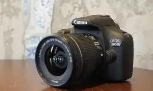 stock