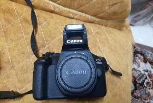stock