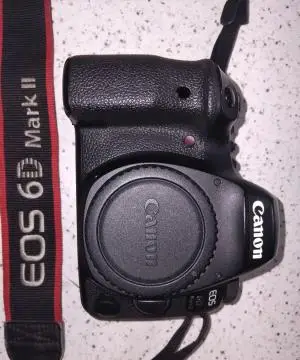 stock