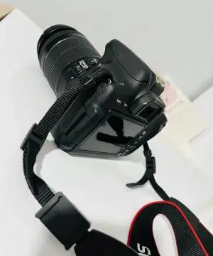 stock