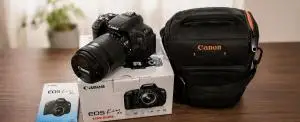 stock