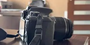 stock