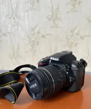 stock