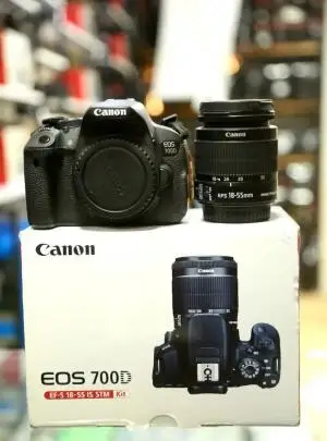 stock