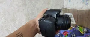 stock