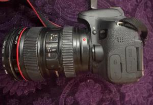 stock