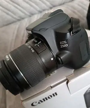 stock